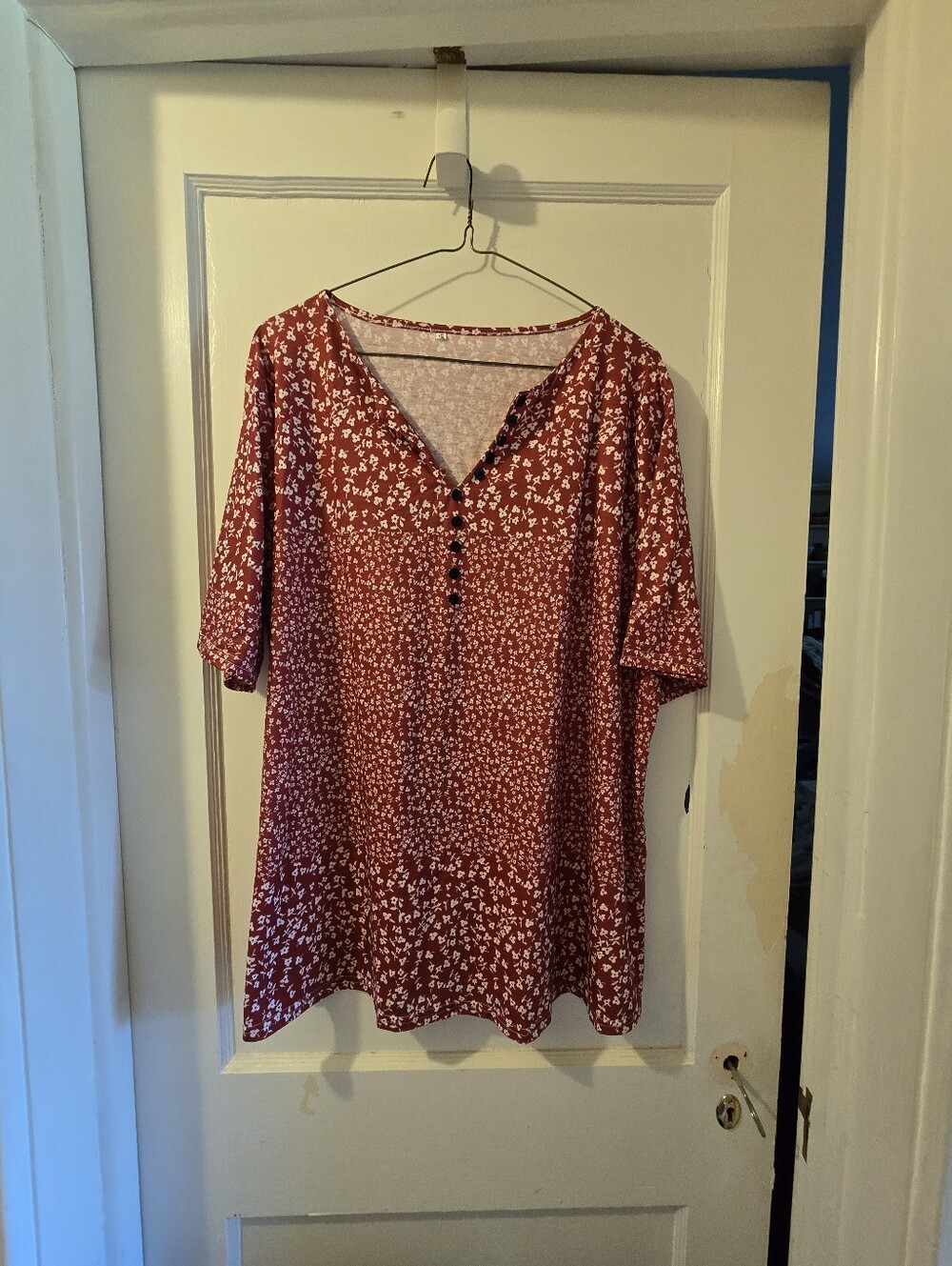 Women's V-Neck Short Sleeve Blouse in Red Floral